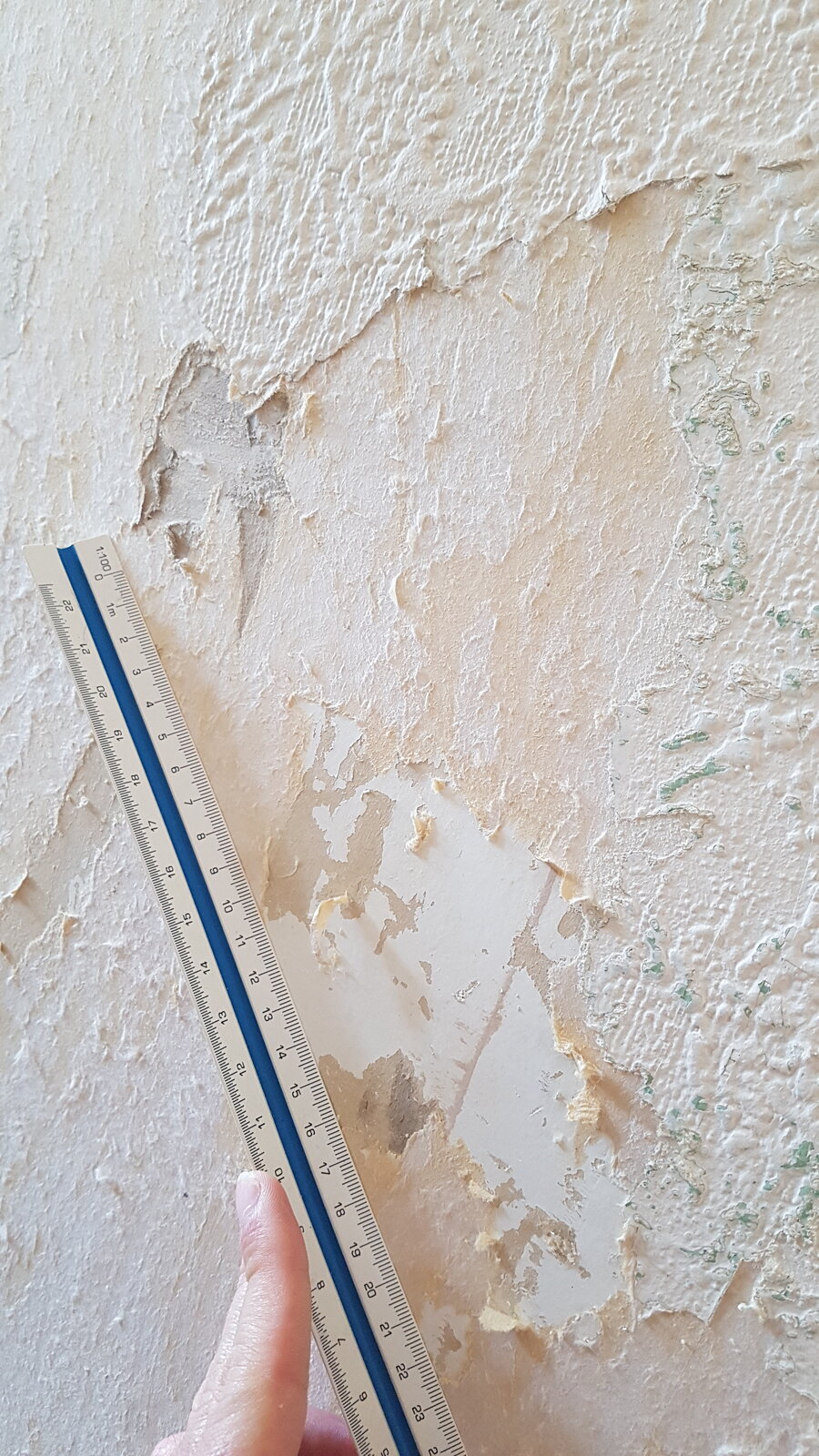 Is This Artex Diynot Forums