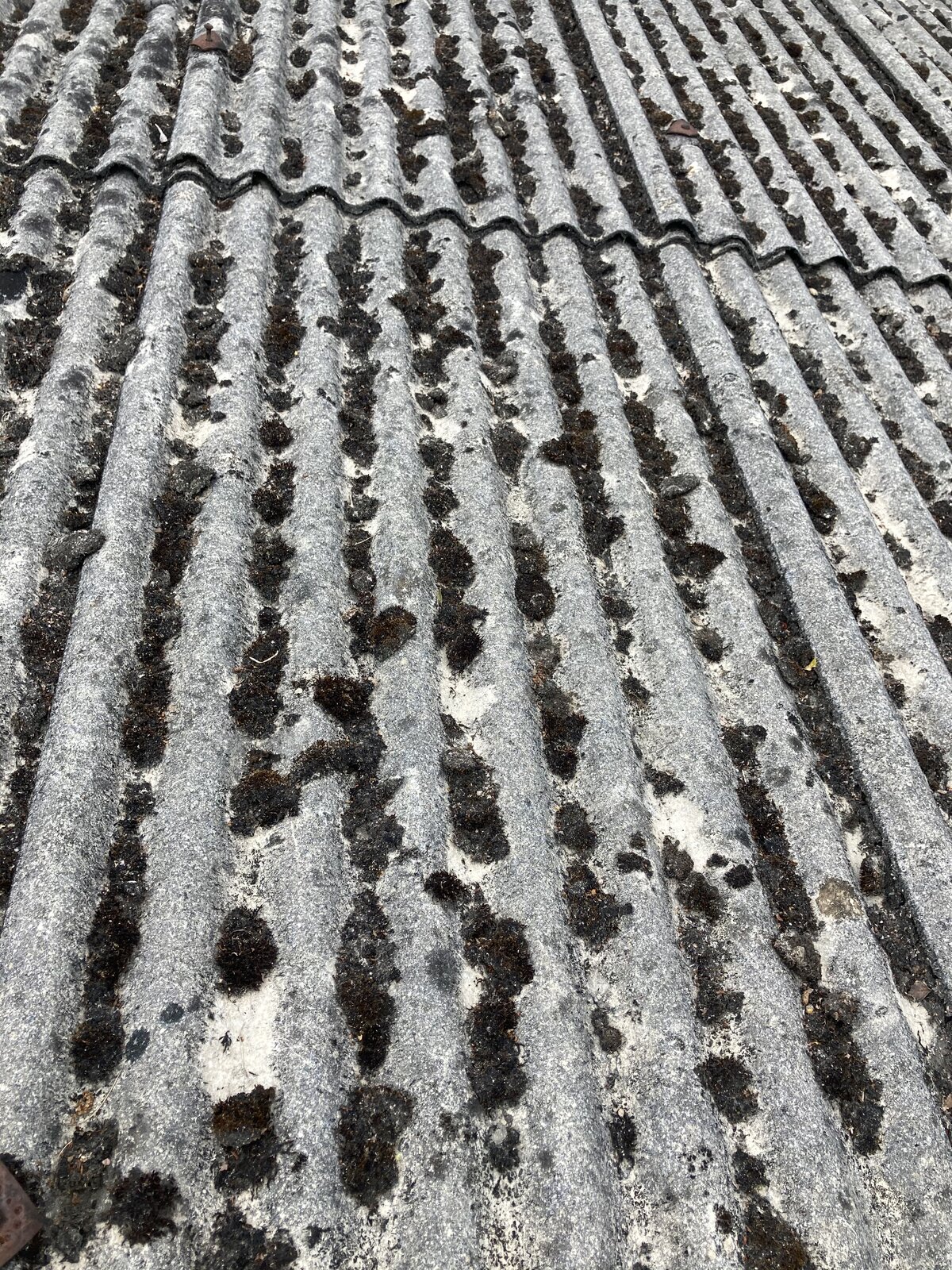 How To Repair Leaking Shed Roof