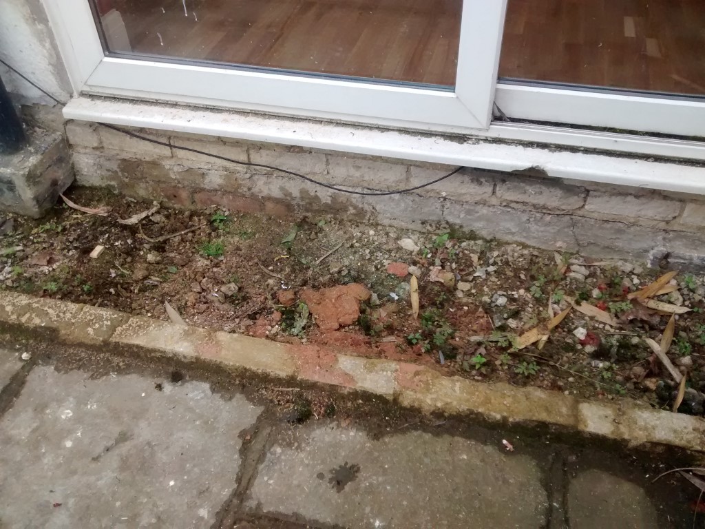 2015-08-23 16.12.59 (Medium).jpg