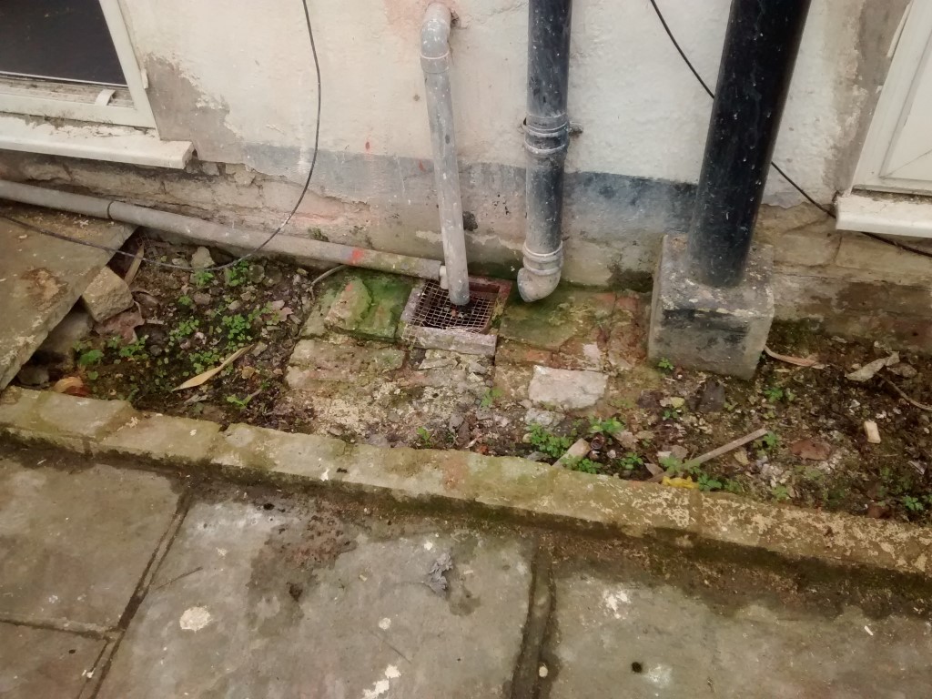 2015-08-23 16.13.04 (Medium).jpg