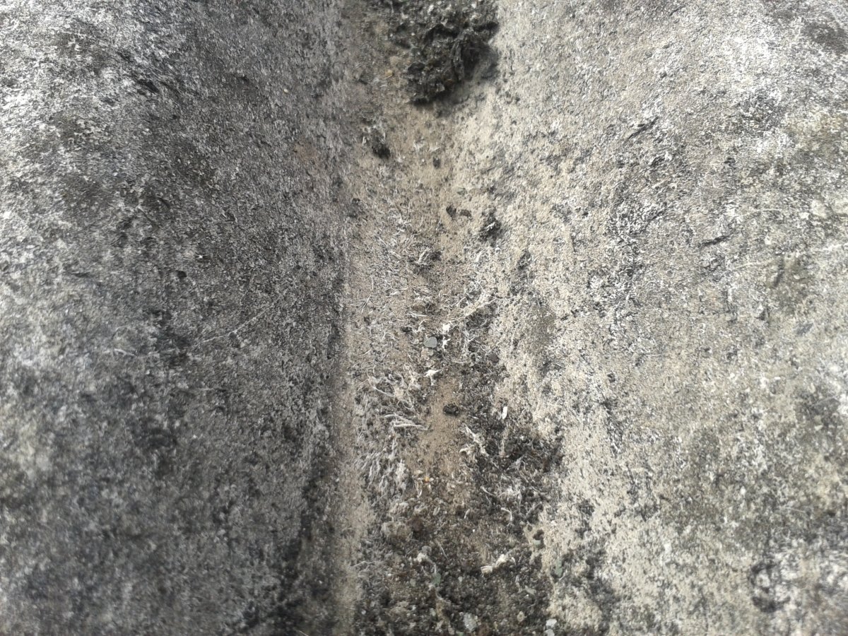 2015-08-31 15.20.13.jpg