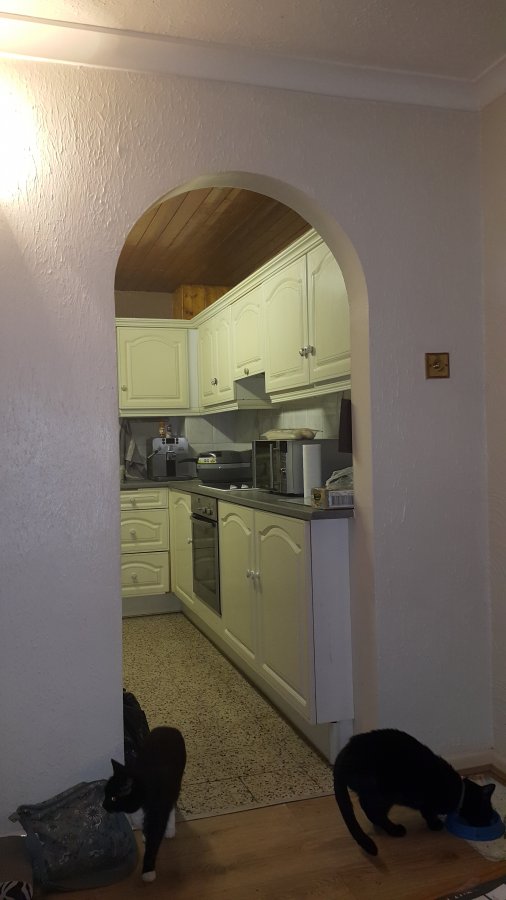 2015-11-14 19.03.59.jpg