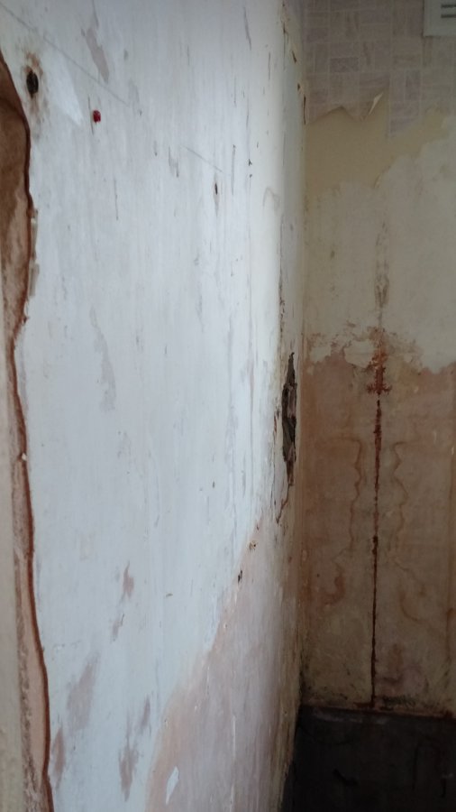 2015-12-04 14.22.39.jpg