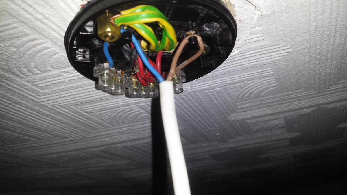 20150826_202323-jpg.84195