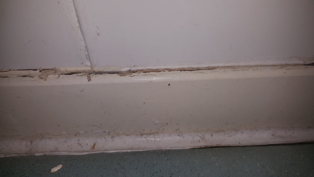 20151026_194452 (1).jpg