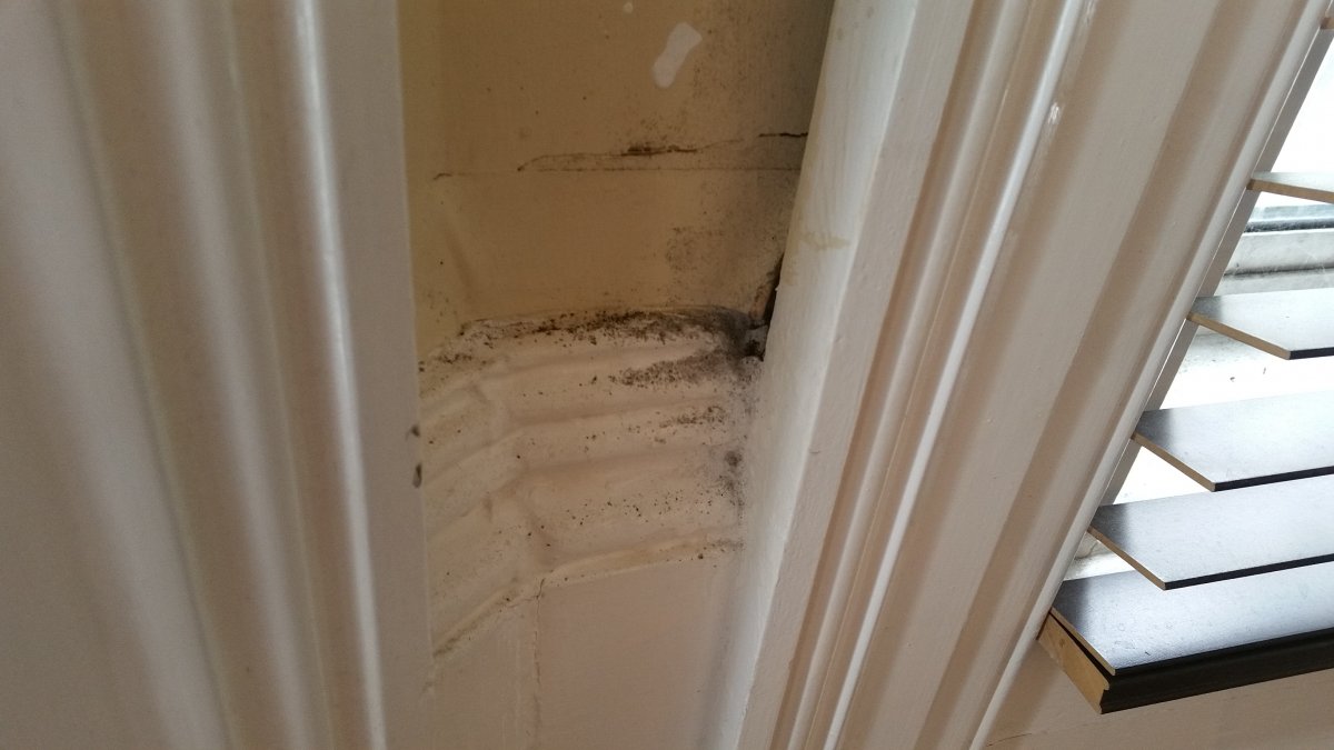 2016-02-20 11.14.21.jpg