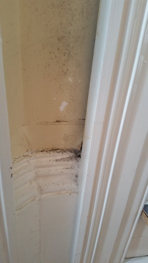 2016-02-20 11.14.25.jpg