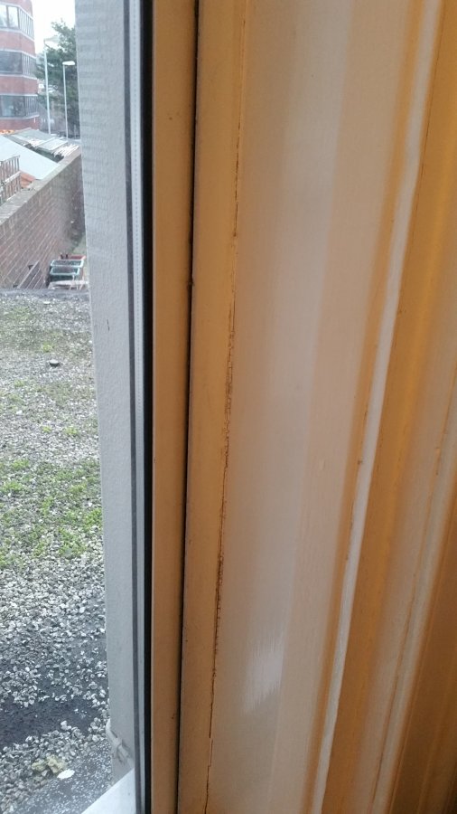 2016-02-24 17.05.59.jpg