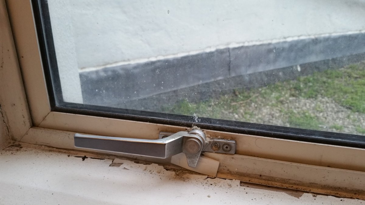 2016-02-24 17.06.13.jpg