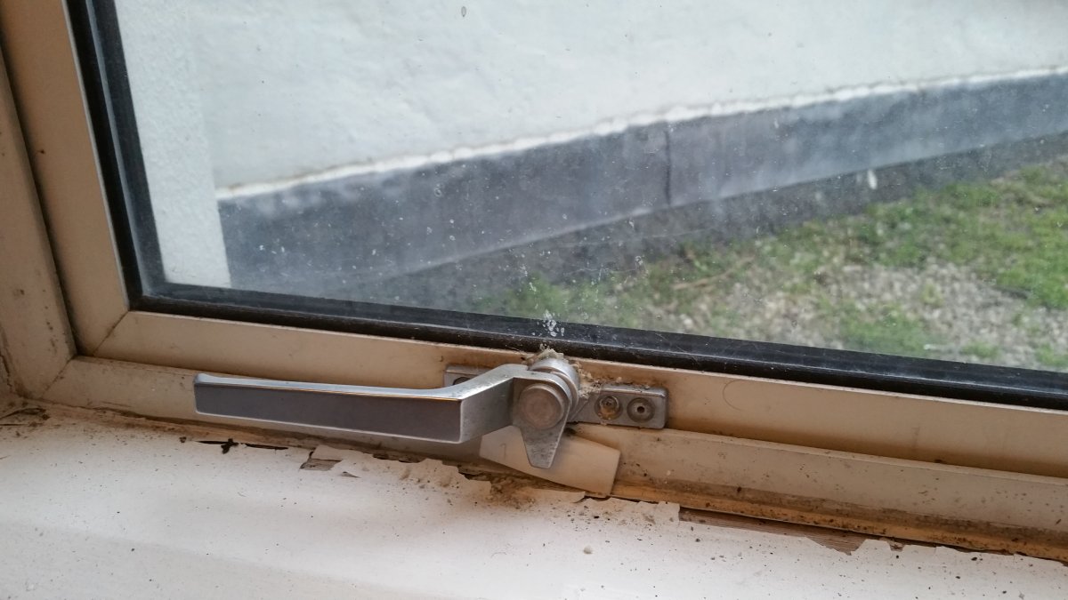 2016-02-24 17.06.16.jpg