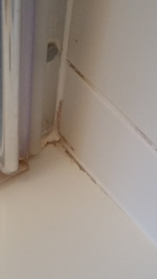 2016-02-24 17.07.17.jpg