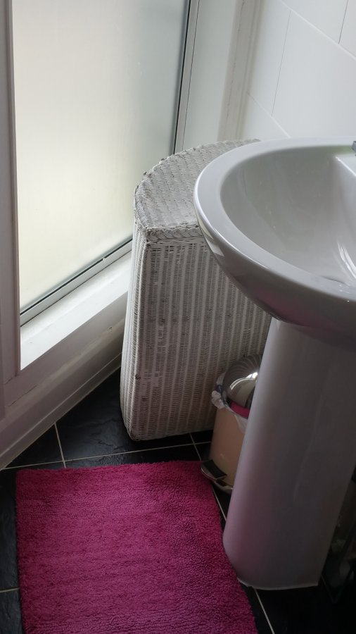 2016-04-17 11.29.44.jpg