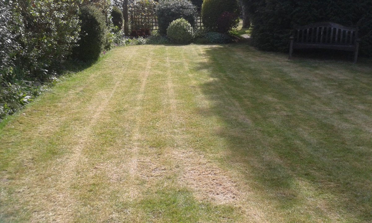 2016-05-05 15.36.11.jpg