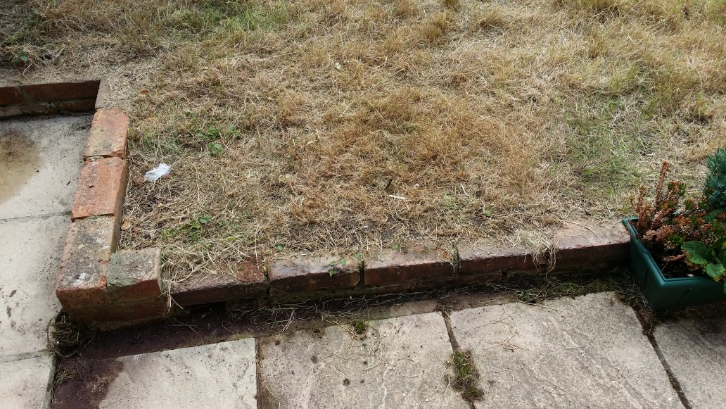 2016-06-05-09-31-31-jpg.100141