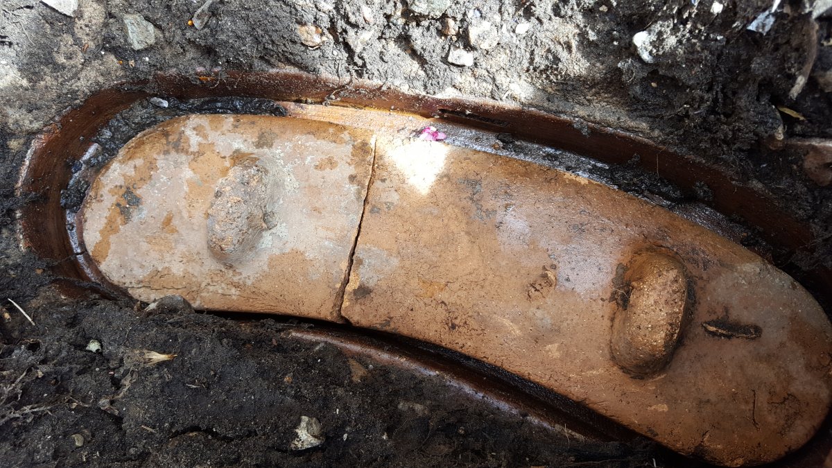 2016-08-12 11.35.12.jpg