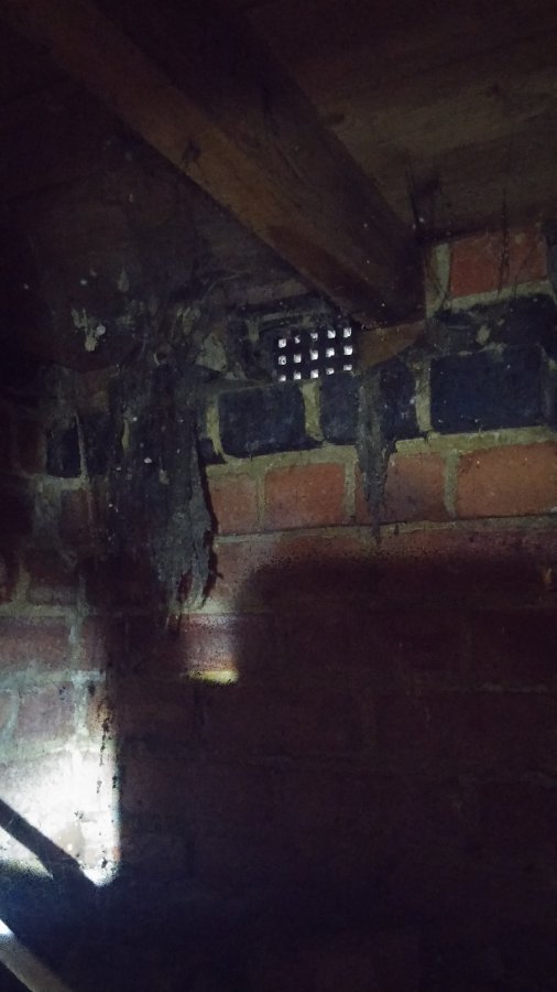 20160113_140256 (1).jpg