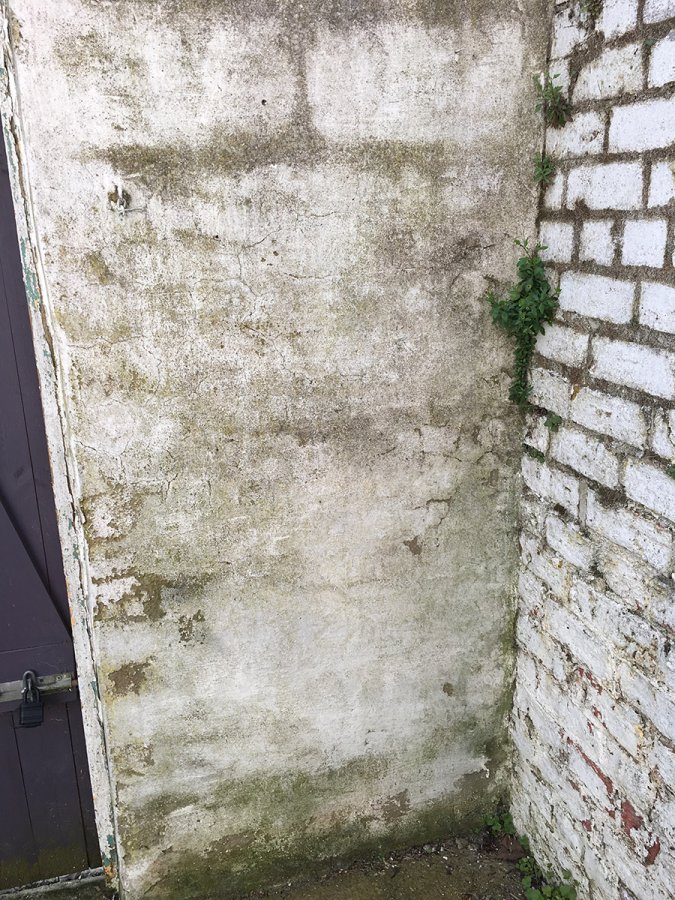 2017-04-10 17.29.42.jpg