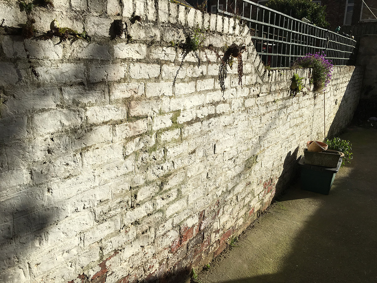 2017-04-10 17.30.22.jpg