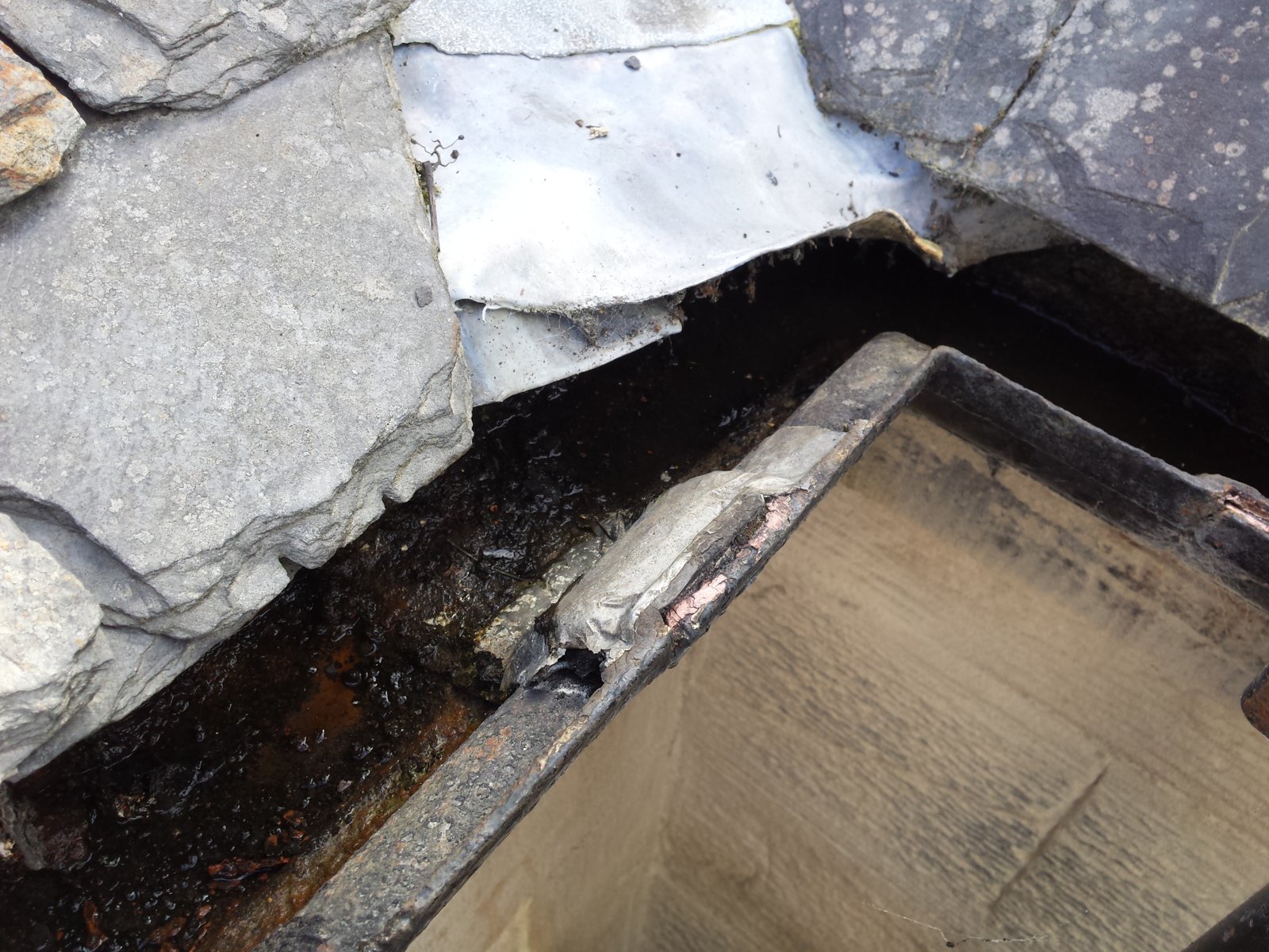 2017-08-15 16.21.05.jpg