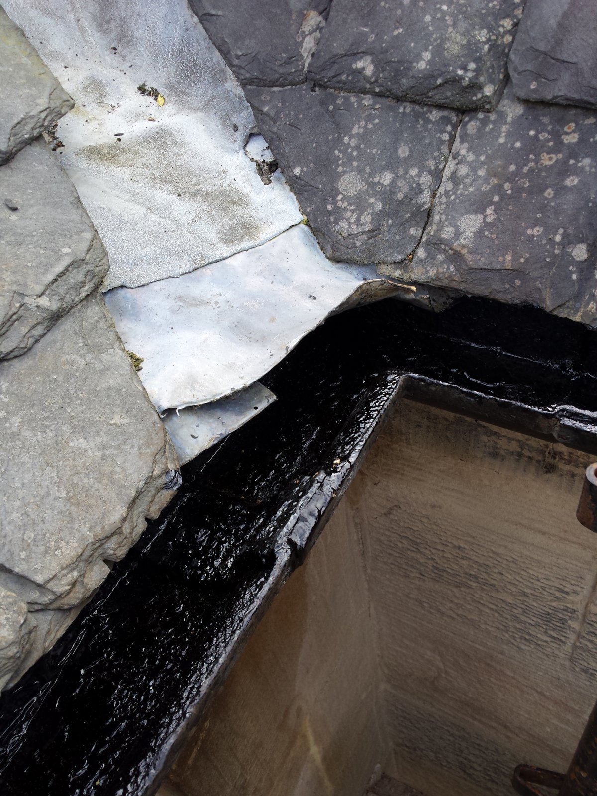 2017-08-17 16.48.25.jpg