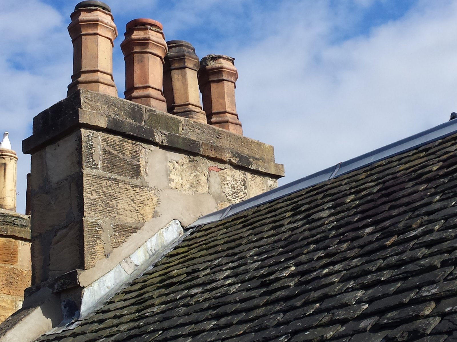 2017-08-26 16.36.12.jpg