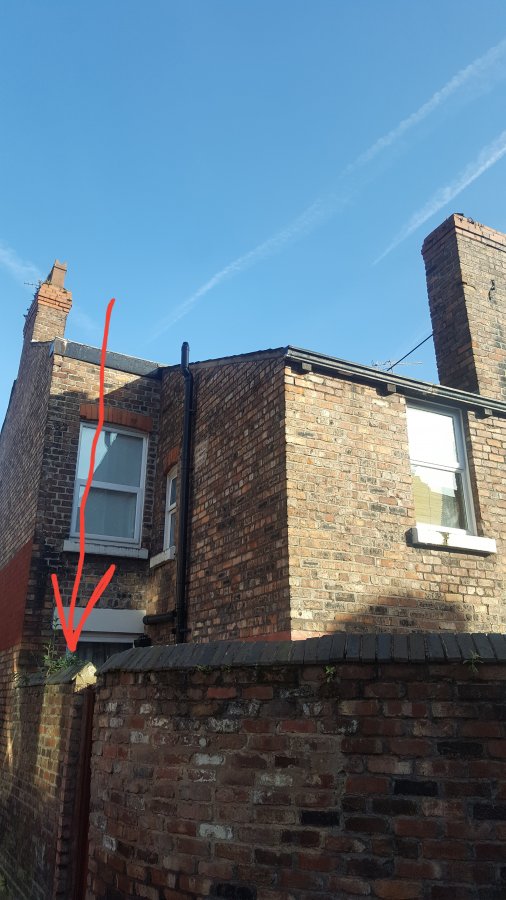 20170404_175111-jpg.116852