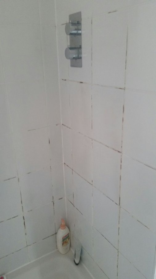 20170413_shower_area_after_regrout.jpg