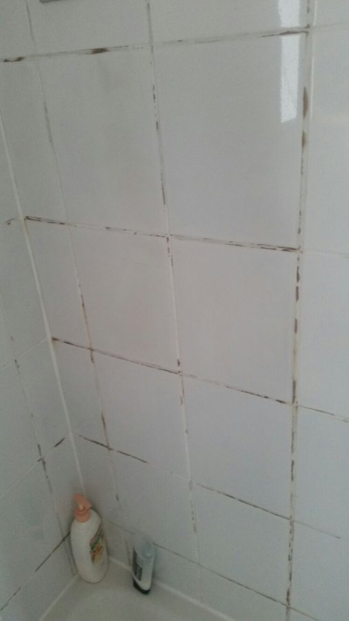 20170413_shower_area_after_regrout_2.jpg