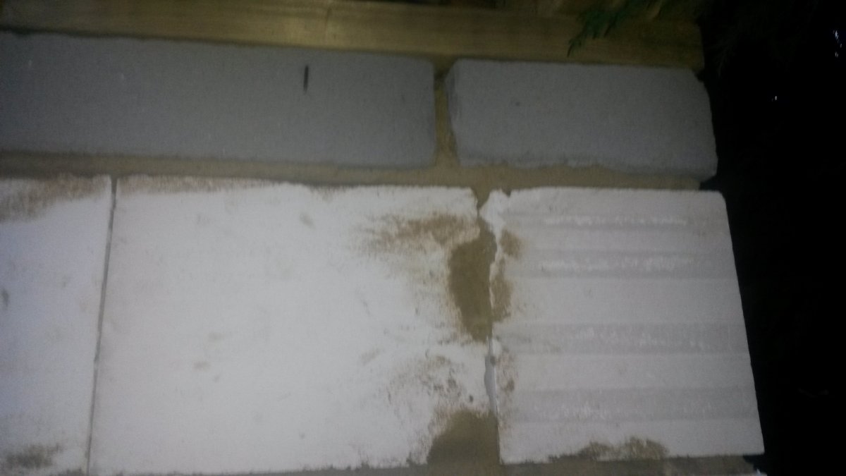 20170418_200947 (1).jpg