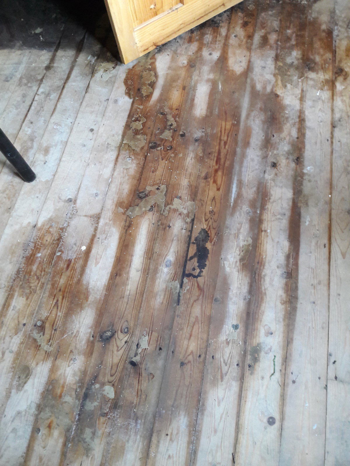 Damp patch on floorboards DIYnot Forums
