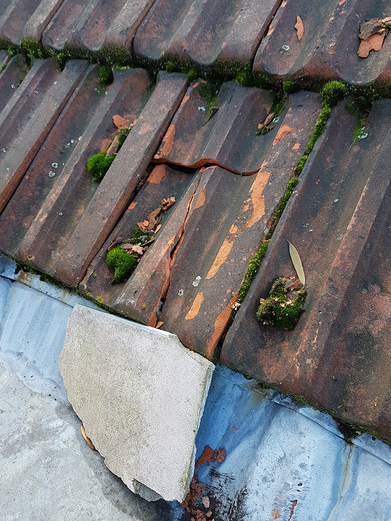 2018-01-10 12.13.22.jpg