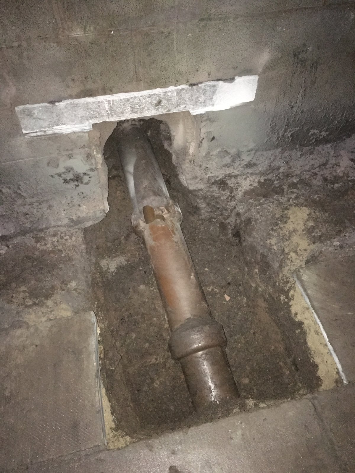 2018-01-27 17.12.19.jpg