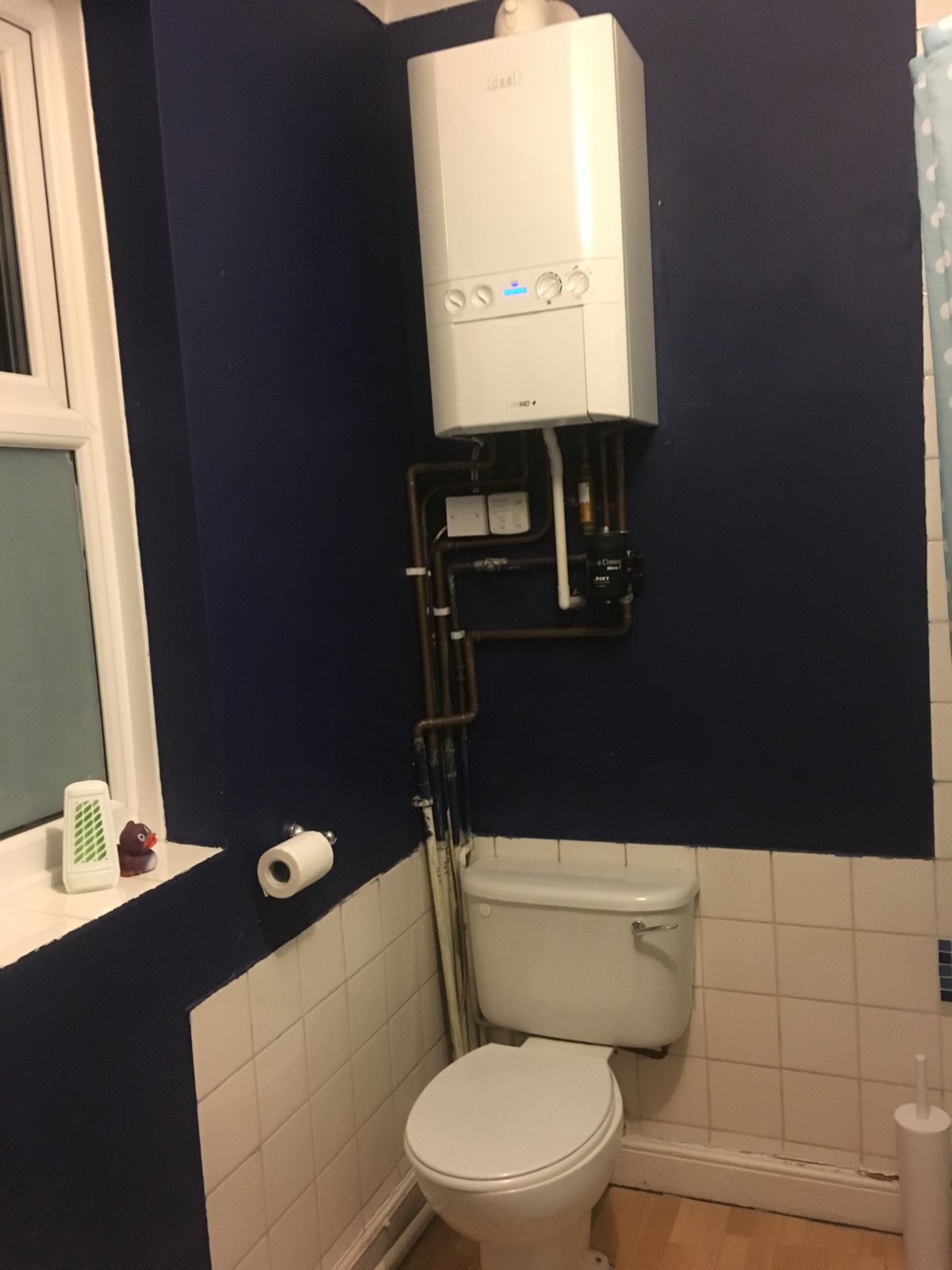 2018-01-29 18.02.50.jpg