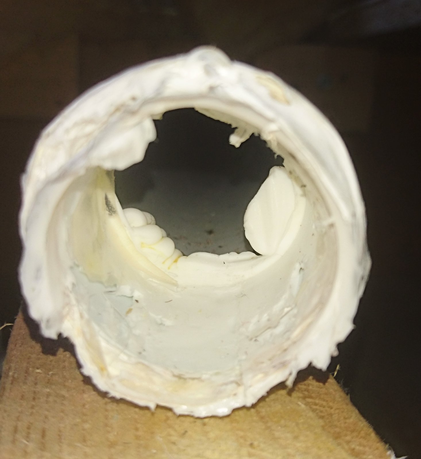 2018-06-06 10.30.24.jpg