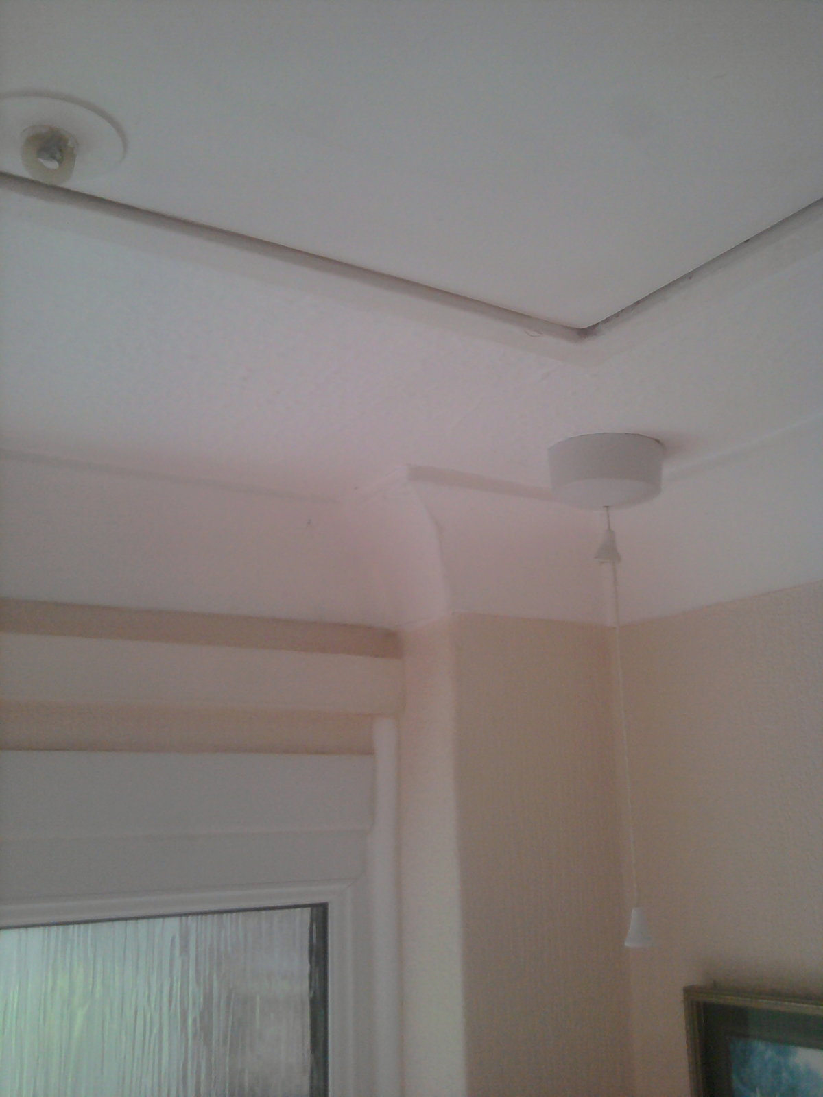 2018-08-05 16.46.50.jpg