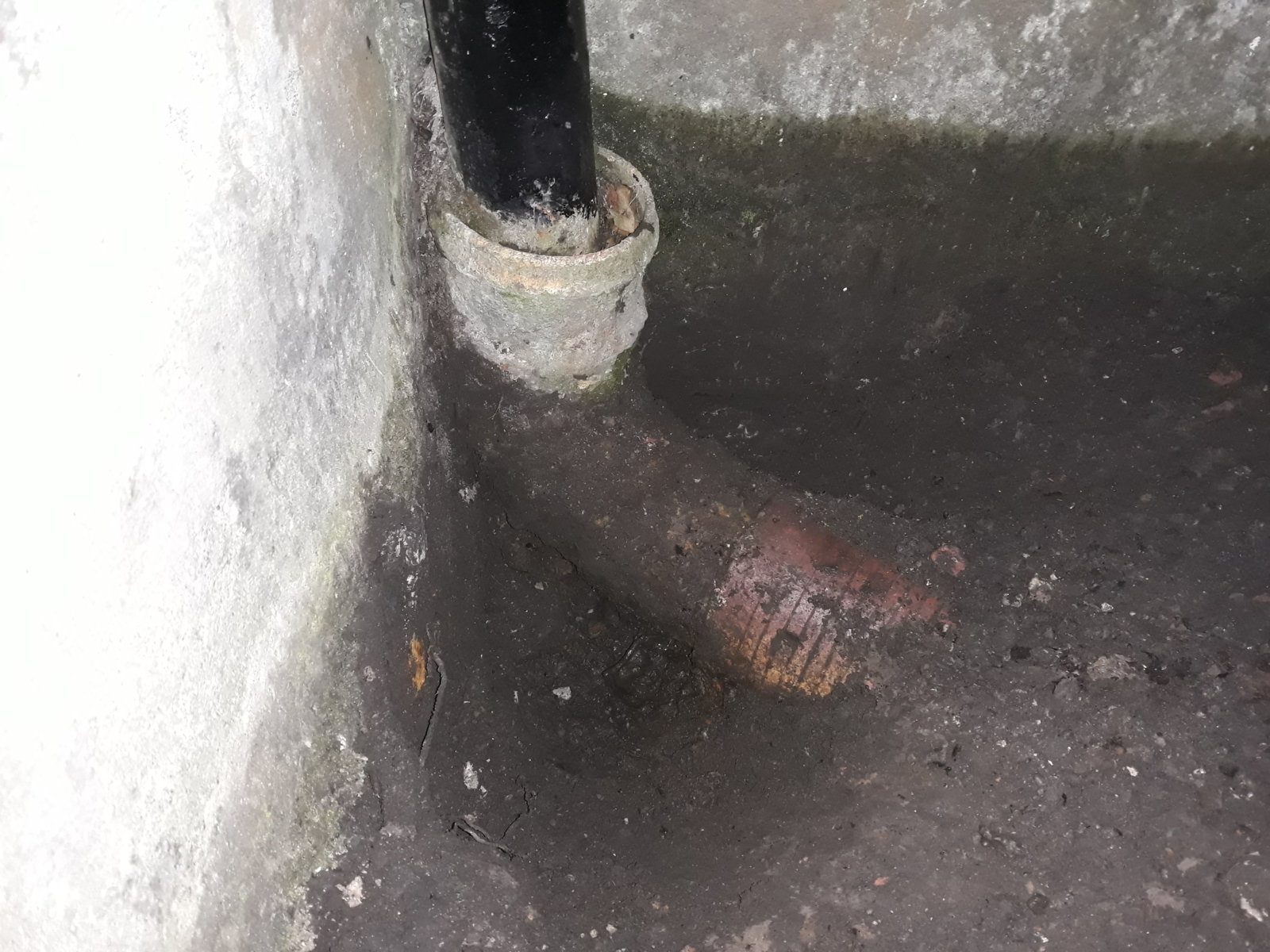 2018-10-31 16.57.09.jpg