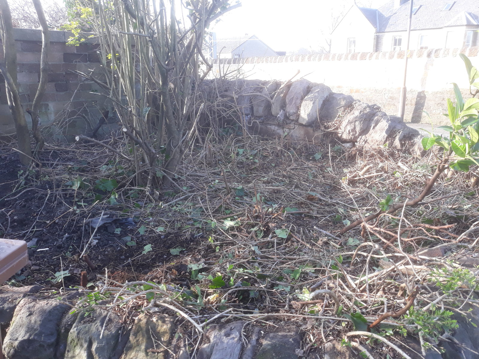 2019-02-26 14.38.31.jpg