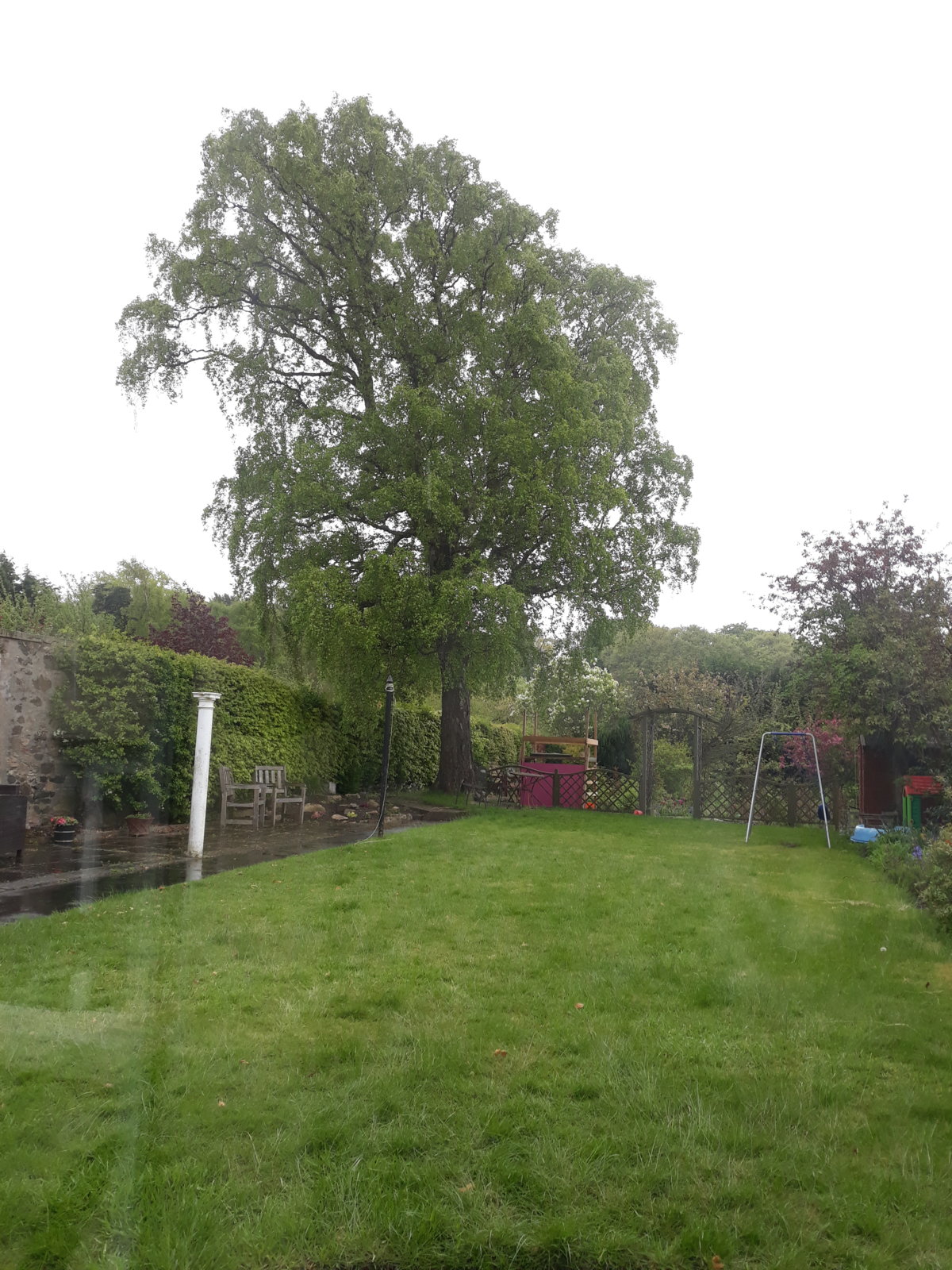 2019-05-06 10.25.13.jpg