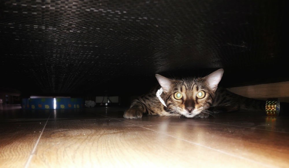 20190928_112310-04 copy.jpg