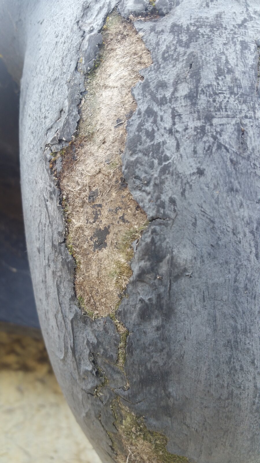 2020-09-05 13.42.58.jpg