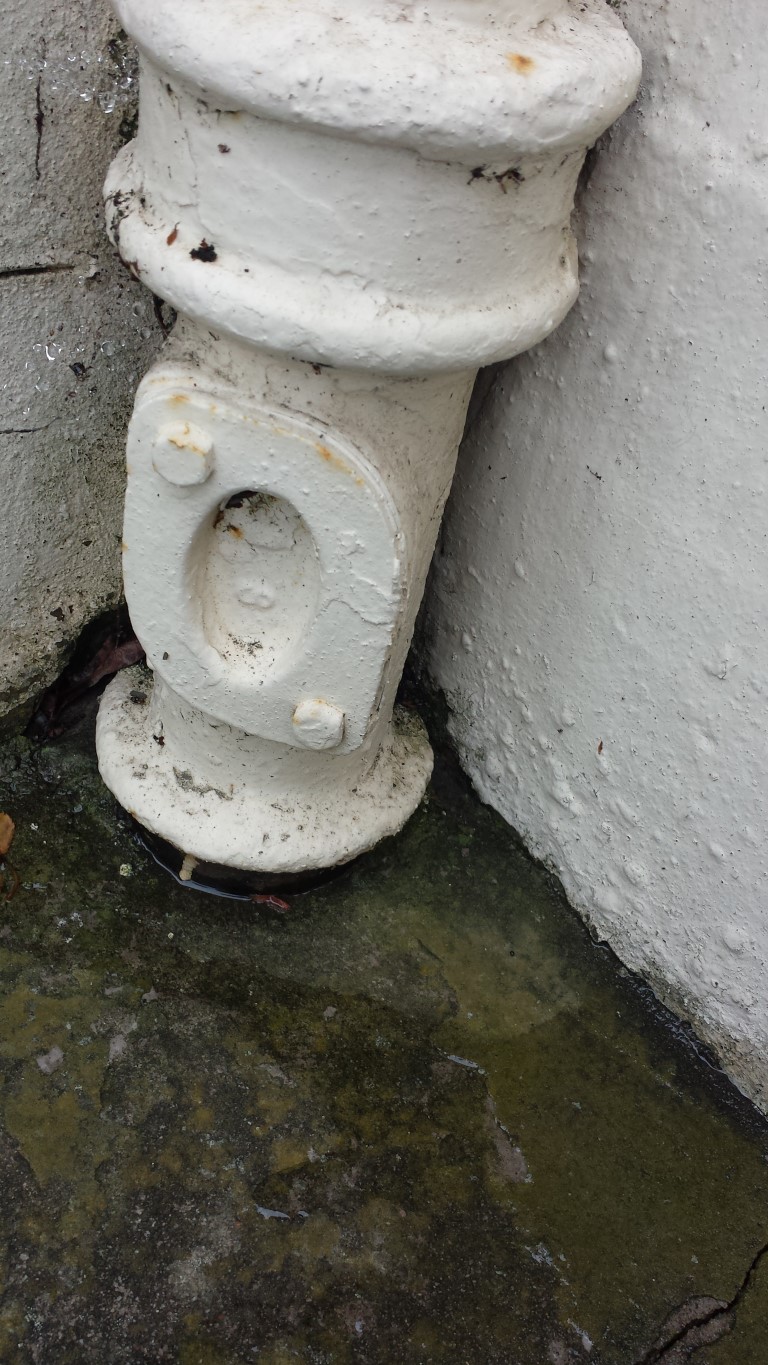 20200826_145239 (Medium).jpg