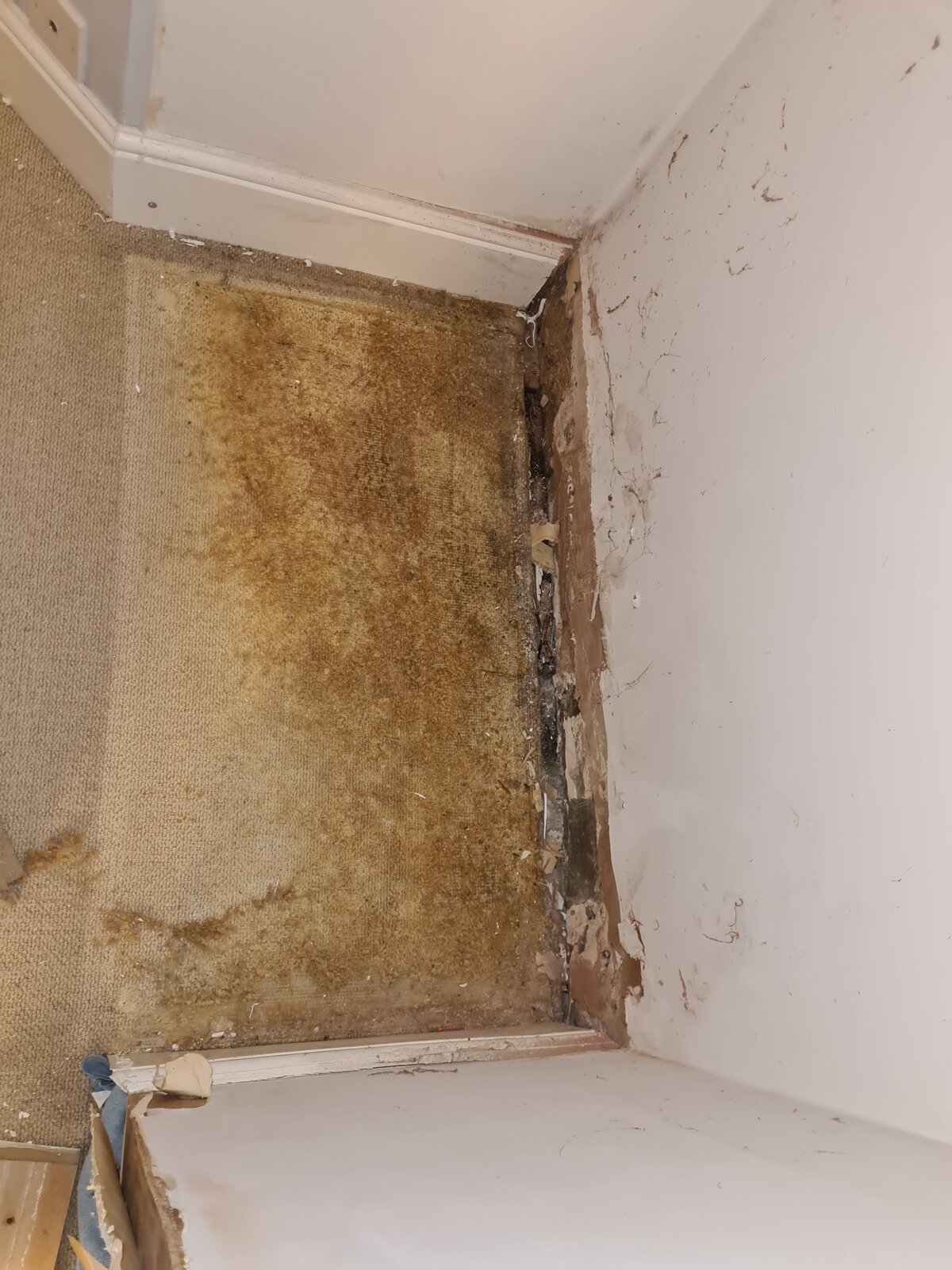 How to seal between floorboard and bare wall over suspended timber