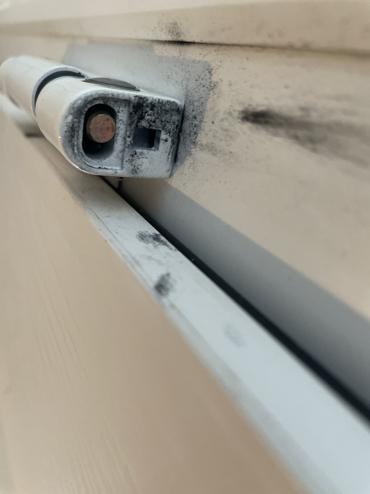 2021-01-15 12.16.41.jpg