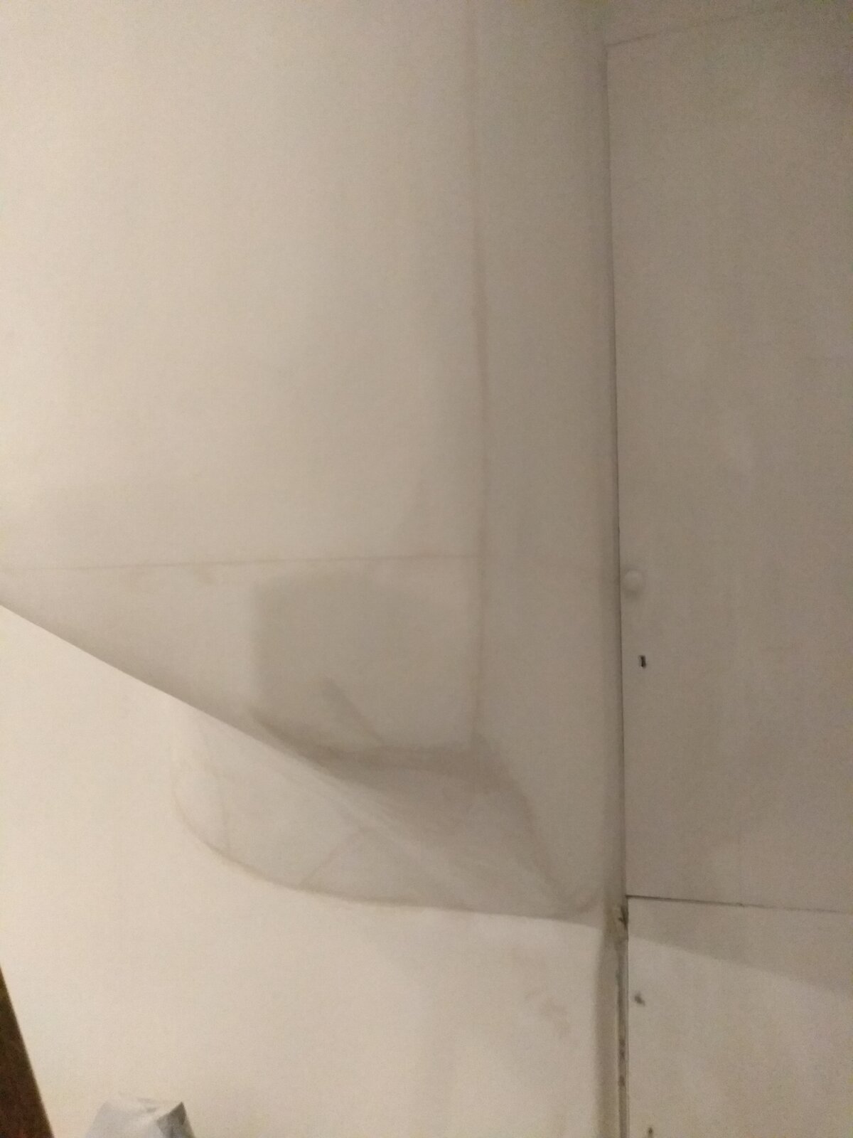 2021-03-05 23.10.51.jpg