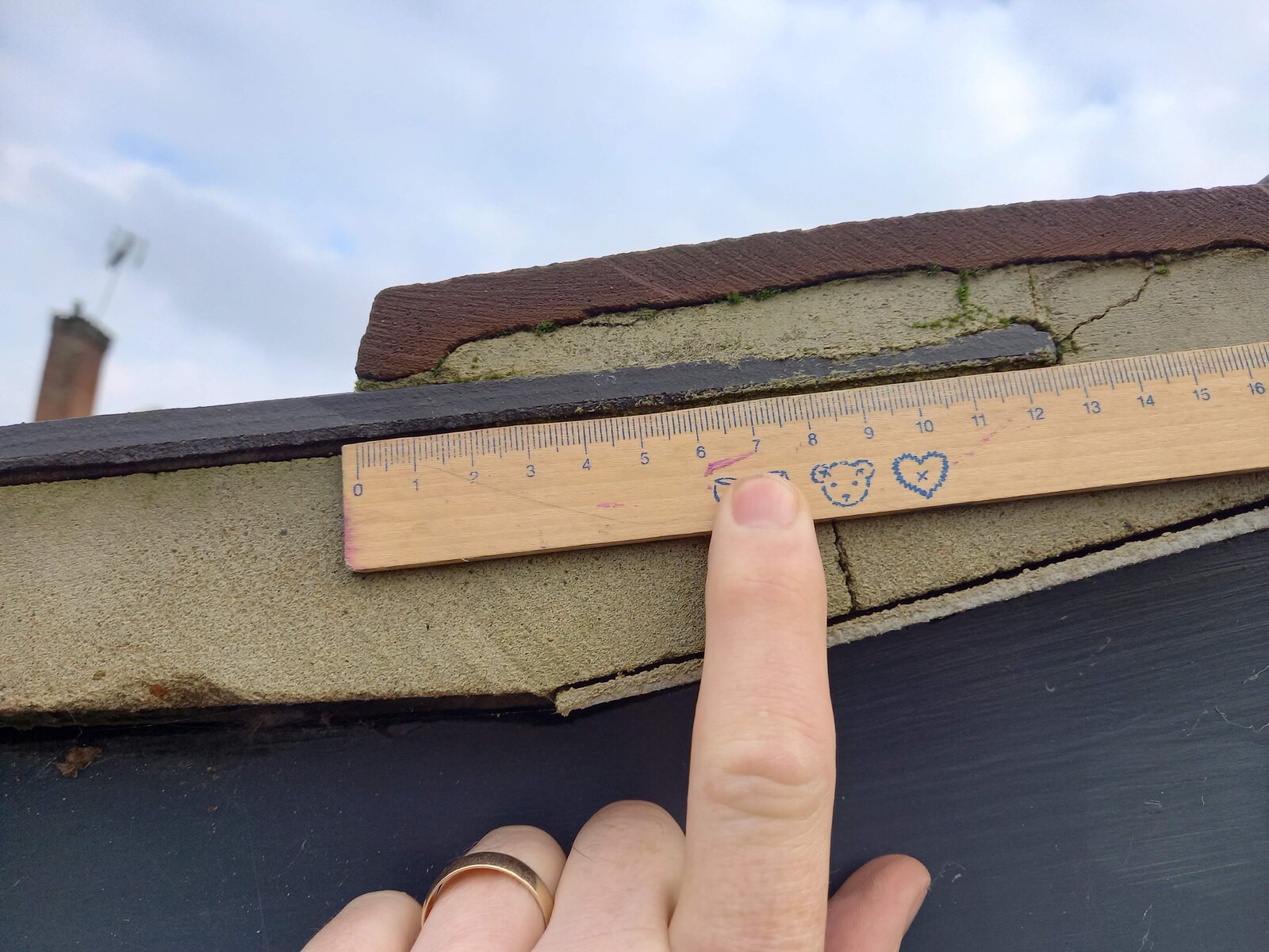 20210206_143350 (3).jpg