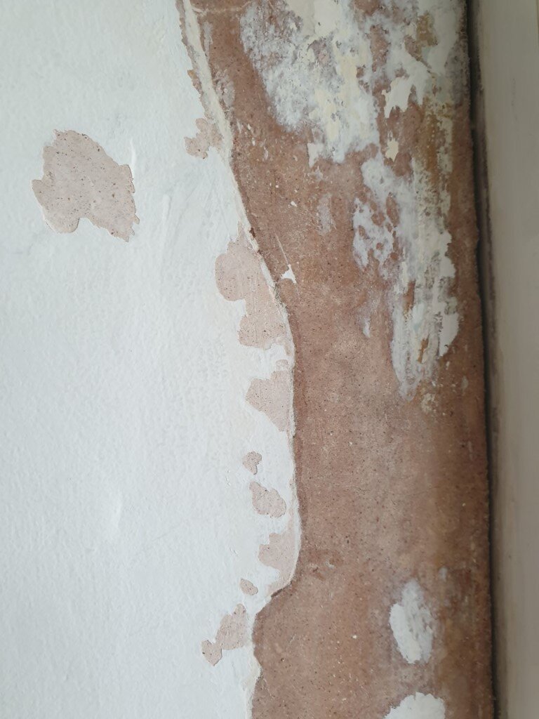 20210320_131611 (Medium).jpg