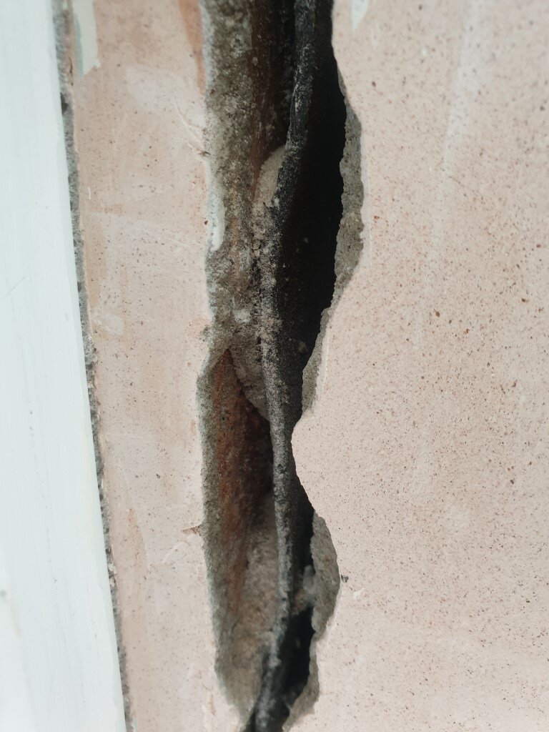 20210320_135725 (Medium).jpg