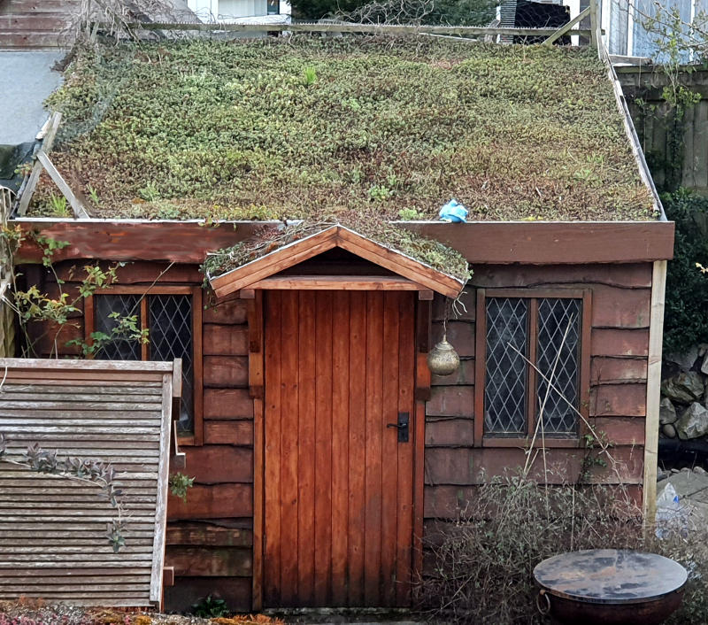 20210405_190255-jpg.229451