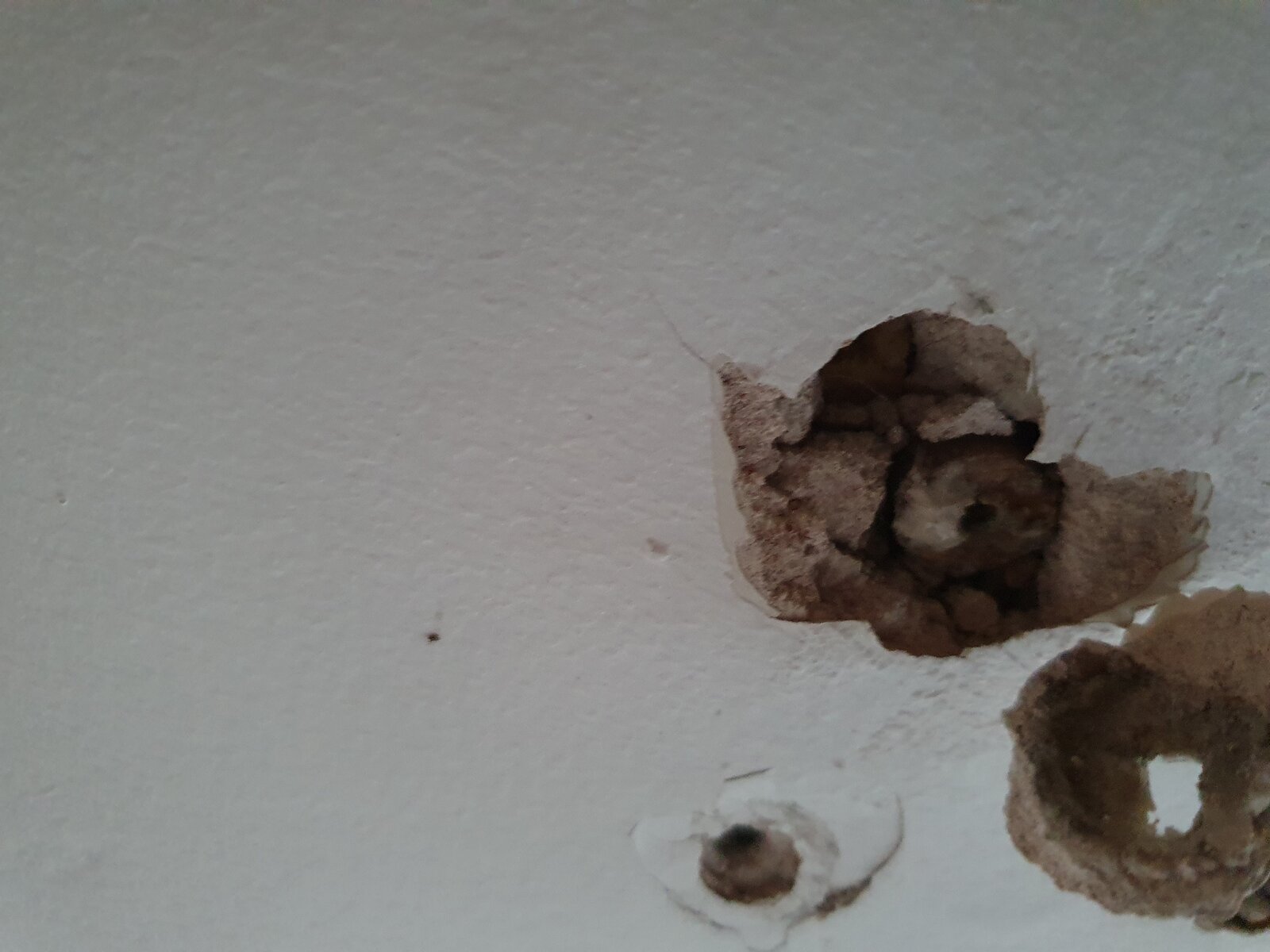 20210718_194258 (2).jpg