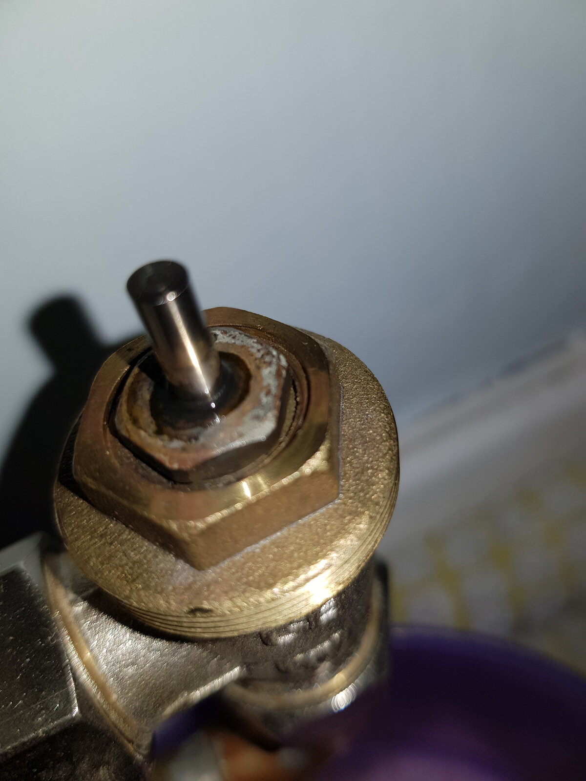 20211213_091058 - Copy.jpg